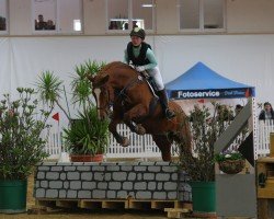 broodmare Formás Füles (Hungarian Warmblood, 2005, from Formas I-5-2)