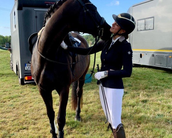 dressage horse Mondfee 18 (German Sport Horse, 2016, from Morricone)