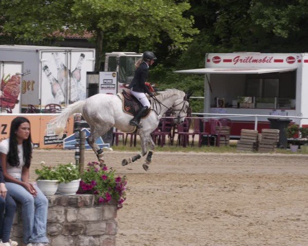 Reitturnier Heiligenwald 2025