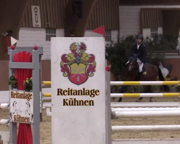 Krefeld - Reitanlage Kühnen, Junge-Pferde-Turnier 2014