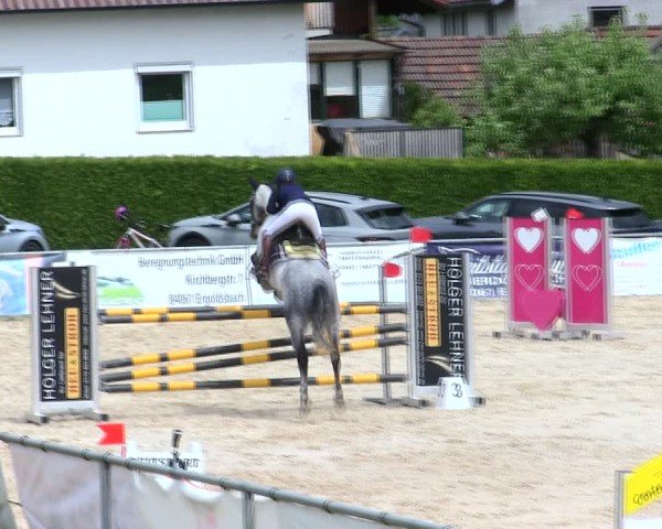 Reitturnier Mallersdorf-Pfaffenberg/Ndb. 2025