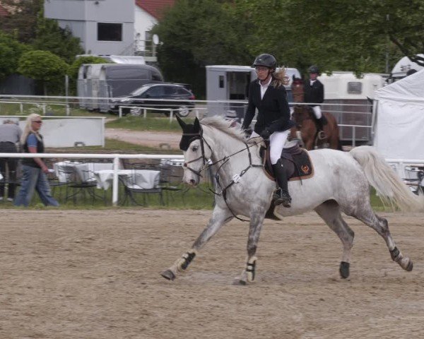 Reitturnier Heiligenwald 2025