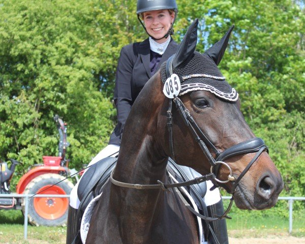 dressage horse Beau Soleil 4 (Oldenburg, 2016, from Bordeaux 28)