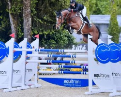 jumper Kadello Vz (KWPN (Royal Dutch Sporthorse), 2015, from Cascadello)