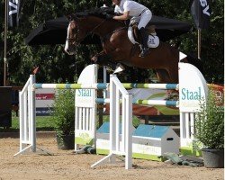 jumper Curlida Jk Horsetruchs Z (unknown, 2010)