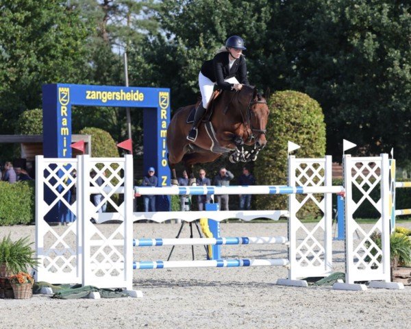 jumper Mascot van de Berghoeve Z (Zangersheide riding horse, 2017, from Moncler van Overis)