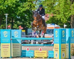 jumper Berlinko van het Keizershof Z (Zangersheide riding horse, 2017, from Berlin)