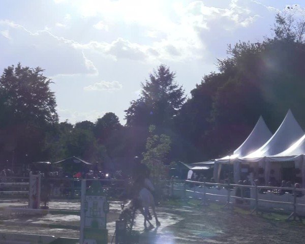 Reitturnier Niederbergheim 2025