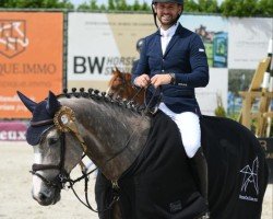 jumper Herriot Z (Zangersheide riding horse, 2017, from Hemerald)