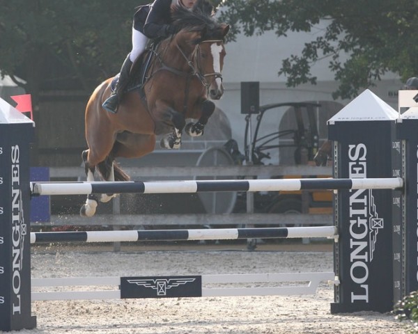 stallion Hemerald (KWPN (Royal Dutch Sporthorse), 2012, from Emerald van 't Ruytershof)