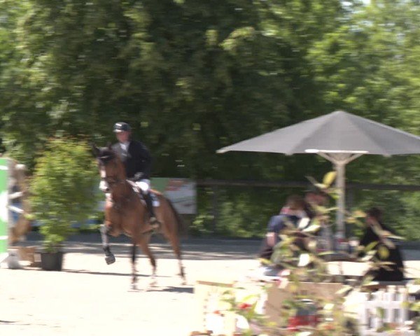 Reitturnier Erkrath - Uhlenhof 2025
