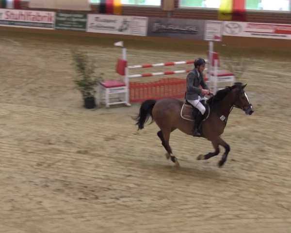 Rosendorf-Classics Seppenrade 2014