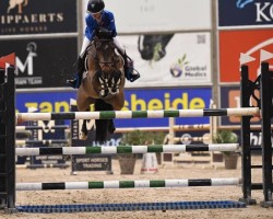 Springpferd Corradino du Bary (Französisches Pony, 2012, von Urlevent du Bary)