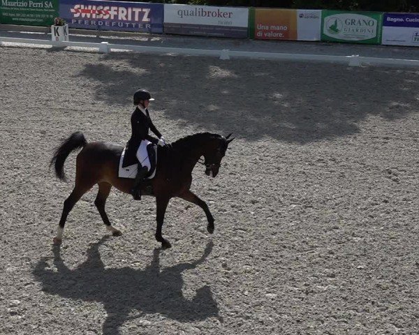 Reitturnier Cureglia 2025