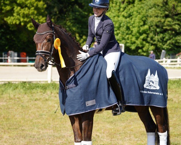 dressage horse Donicio (Hanoverian, 2019, from Don Martillo)