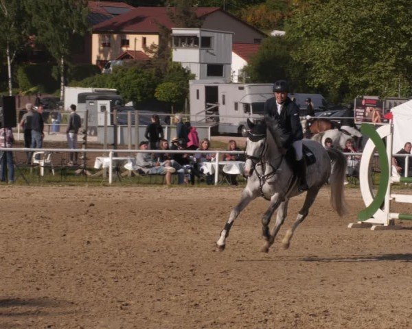 Reitturnier Heiligenwald 2025