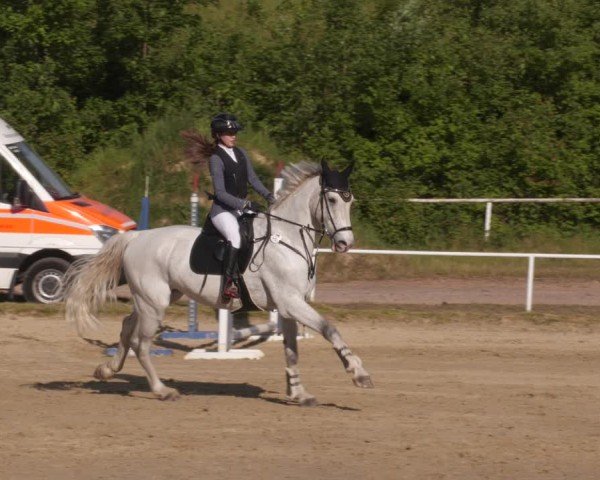 Reitturnier Heiligenwald 2025