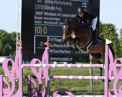 Springpferd Silinde Aeg (Belgisches Warmblut, 2018, von Cornet Obolensky)