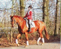 broodmare Weltroyale (Hanoverian, 2006, from Weltroyal)