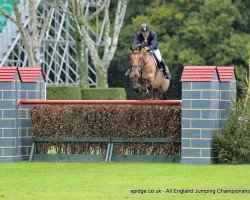 jumper Lowhill I No Dat (Irish Sport Horse, 2007, from Carrick Diamond Lad)