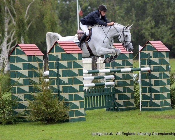 Springpferd Elite Patty K (KWPN (Niederländisches Warmblut), 2009, von Campbell VDL)
