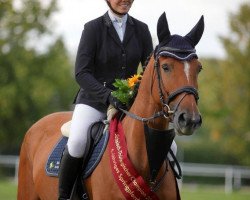 jumper Only One (German Sport Horse, 2015, from Lemwerder)