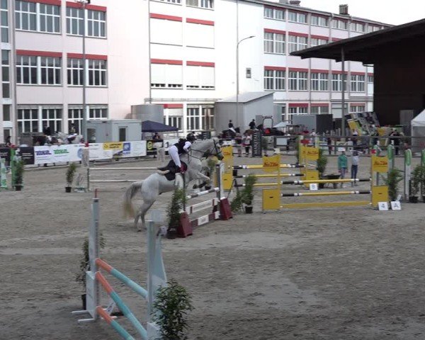 Reitturnier Sulgen 2025