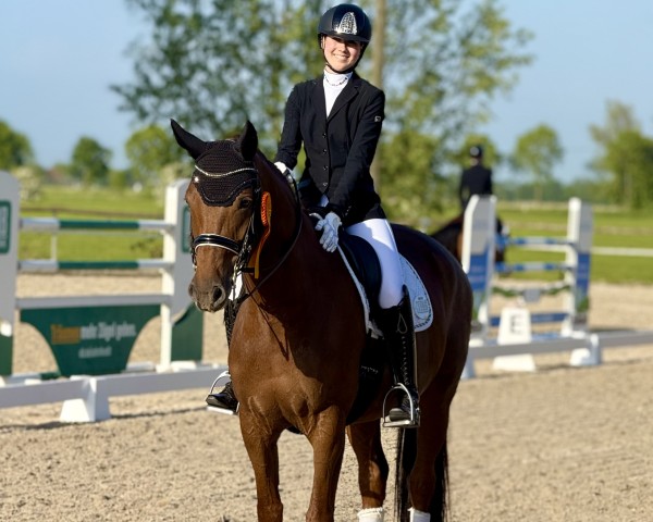 dressage horse Frieda Gold 21 (Oldenburg, 2013, from For Romance I)