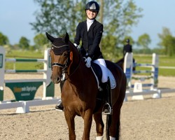 dressage horse Frieda Gold 21 (Oldenburg, 2013, from For Romance I)