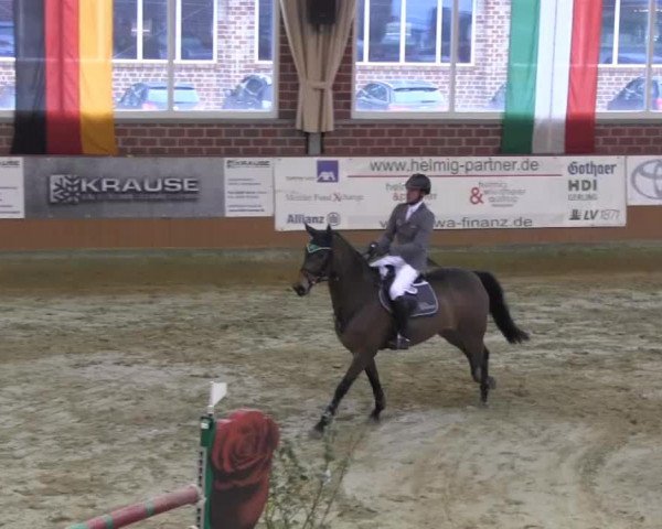Rosendorf-Classics Seppenrade 2014
