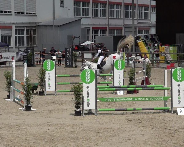 Reitturnier Sulgen 2025