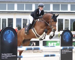 jumper Acanchalue PS (Oldenburg show jumper, 2012, from Acantus)