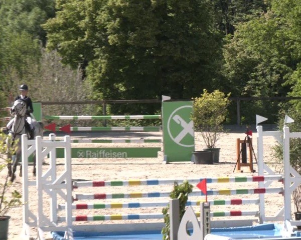 Reitturnier Erkrath - Uhlenhof 2025
