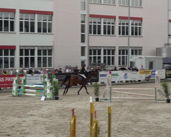 Reitturnier Sulgen 2025
