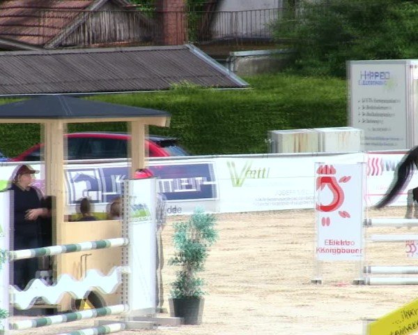 Reitturnier Mallersdorf-Pfaffenberg/Ndb. 2025