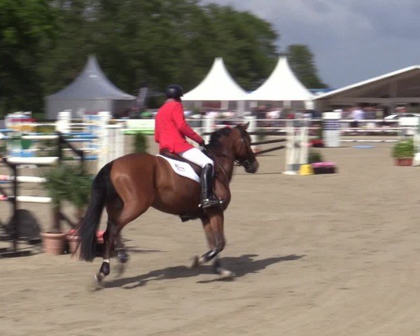 Reitturnier Bremen - Reitanlage Forkert 2025