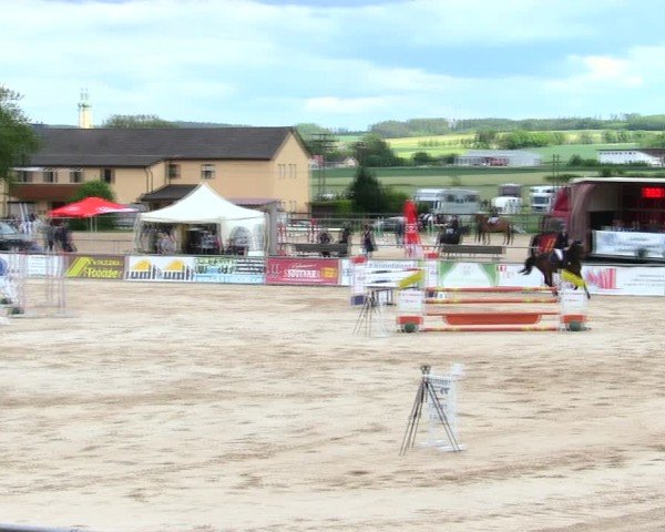 Reitturnier Mallersdorf-Pfaffenberg/Ndb. 2025