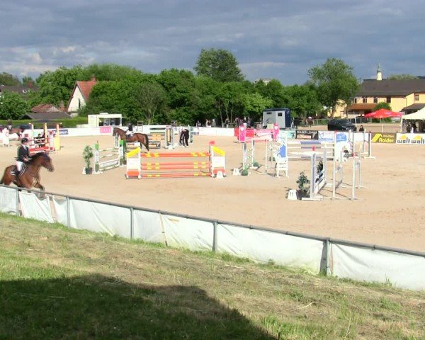 Reitturnier Mallersdorf-Pfaffenberg/Ndb. 2025