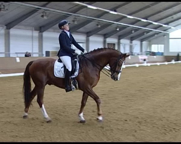 Dressurturnier Vechta 2014