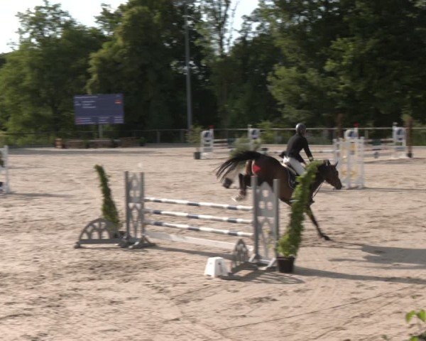 Reitturnier Erkrath - Uhlenhof 2025