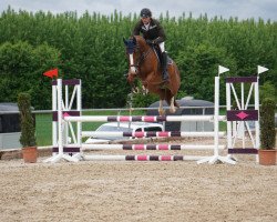 jumper Smilla J (Oldenburg show jumper, 2015, from Lord Weingard)