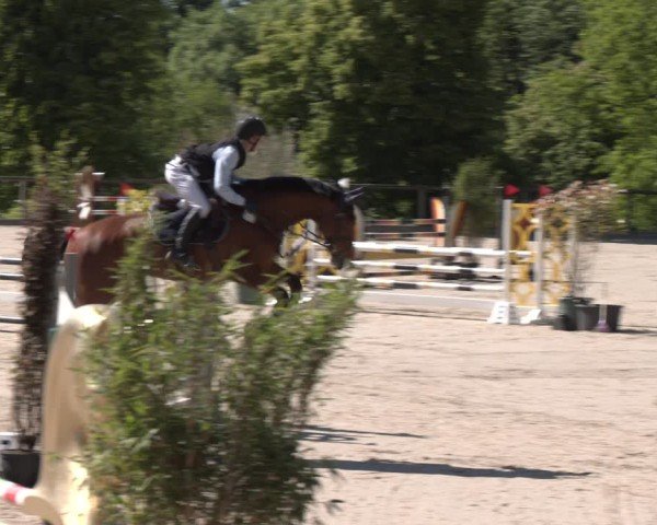 Reitturnier Erkrath - Uhlenhof 2025