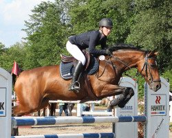 broodmare Evina 'l (KWPN (Royal Dutch Sporthorse), 2009, from Zapatero VDL)