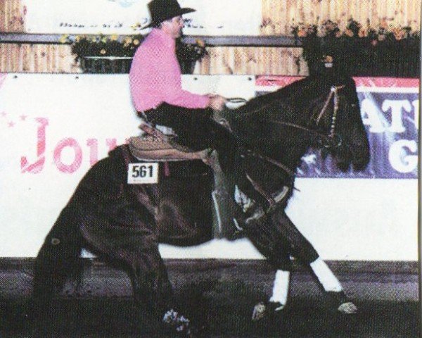 Pferd Lil Cutting Colonel (Quarter Horse, 1993, von Cuttabars Colonel)