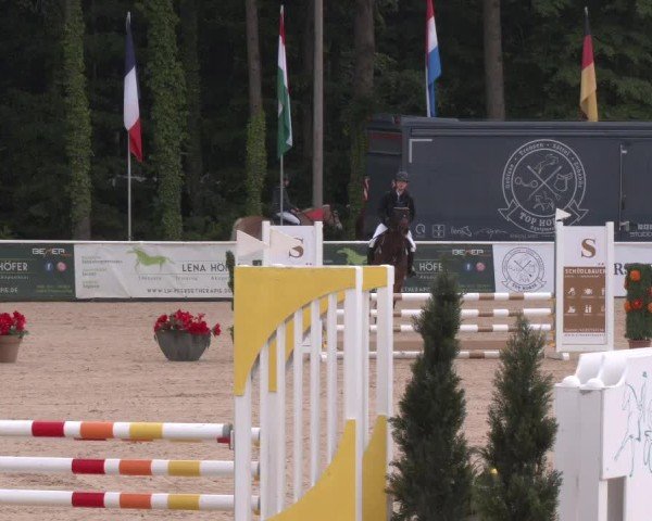 Reitturnier Ranshofen - Braunau am Inn 2025