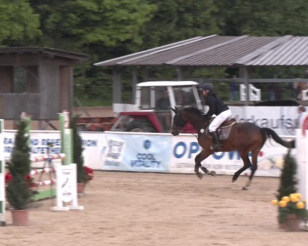 Reitturnier Ranshofen - Braunau am Inn 2025