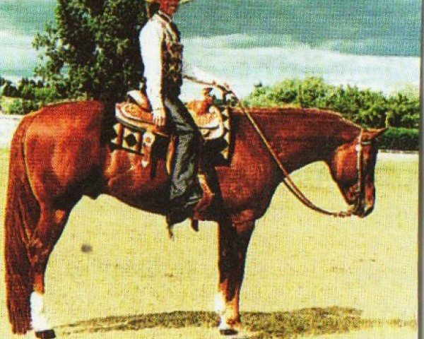 horse Zippo Three Socks (Quarter Horse, 1990, from Zippo Pine Bar)