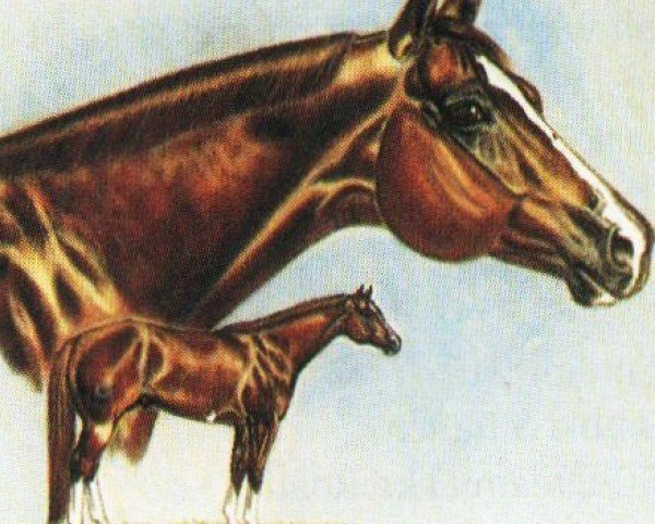horse Obvious Lucky (Paint Horse, 1995, from Obvious Conclusion)