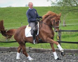 dressage horse Bc/dc M (Hanoverian, 2016, from Bon Coeur)