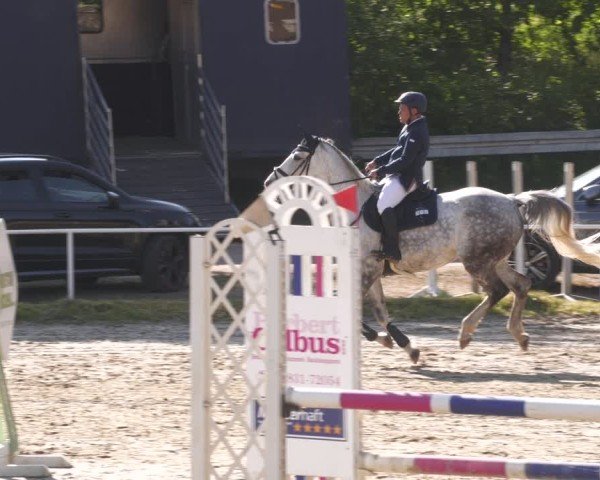 Reitturnier Heiligenwald 2025